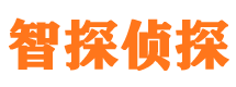 自贡找人公司